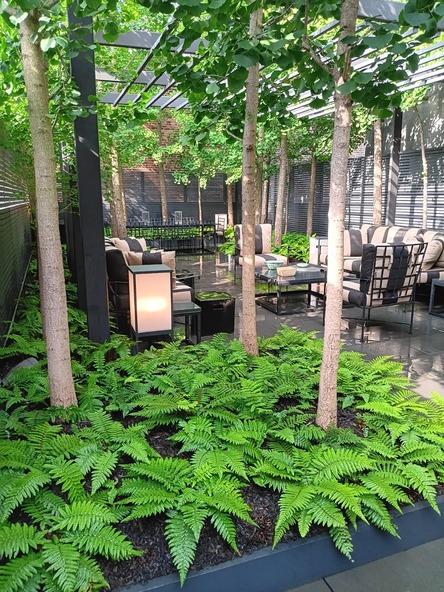 Manicured courtyard garden with bluestone patio and lush greenery