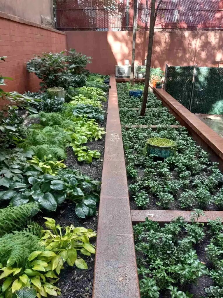 Raised shade garden beds planted with hostas and ferns