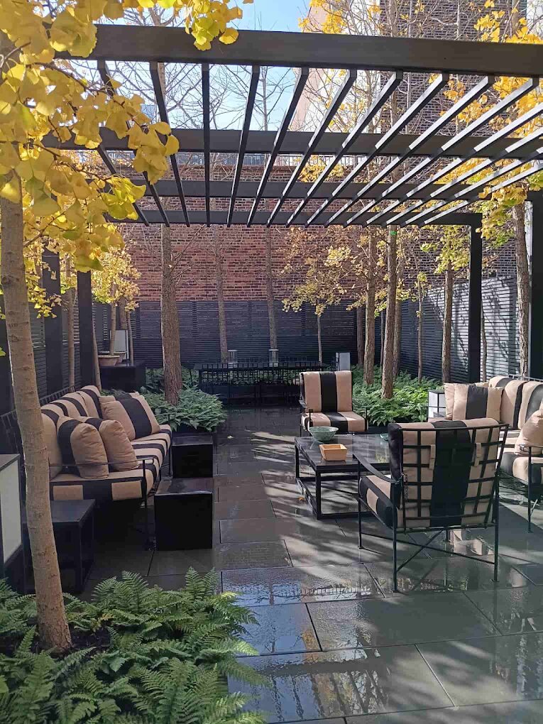 Courtyard pergola with seating among ginkgo trees