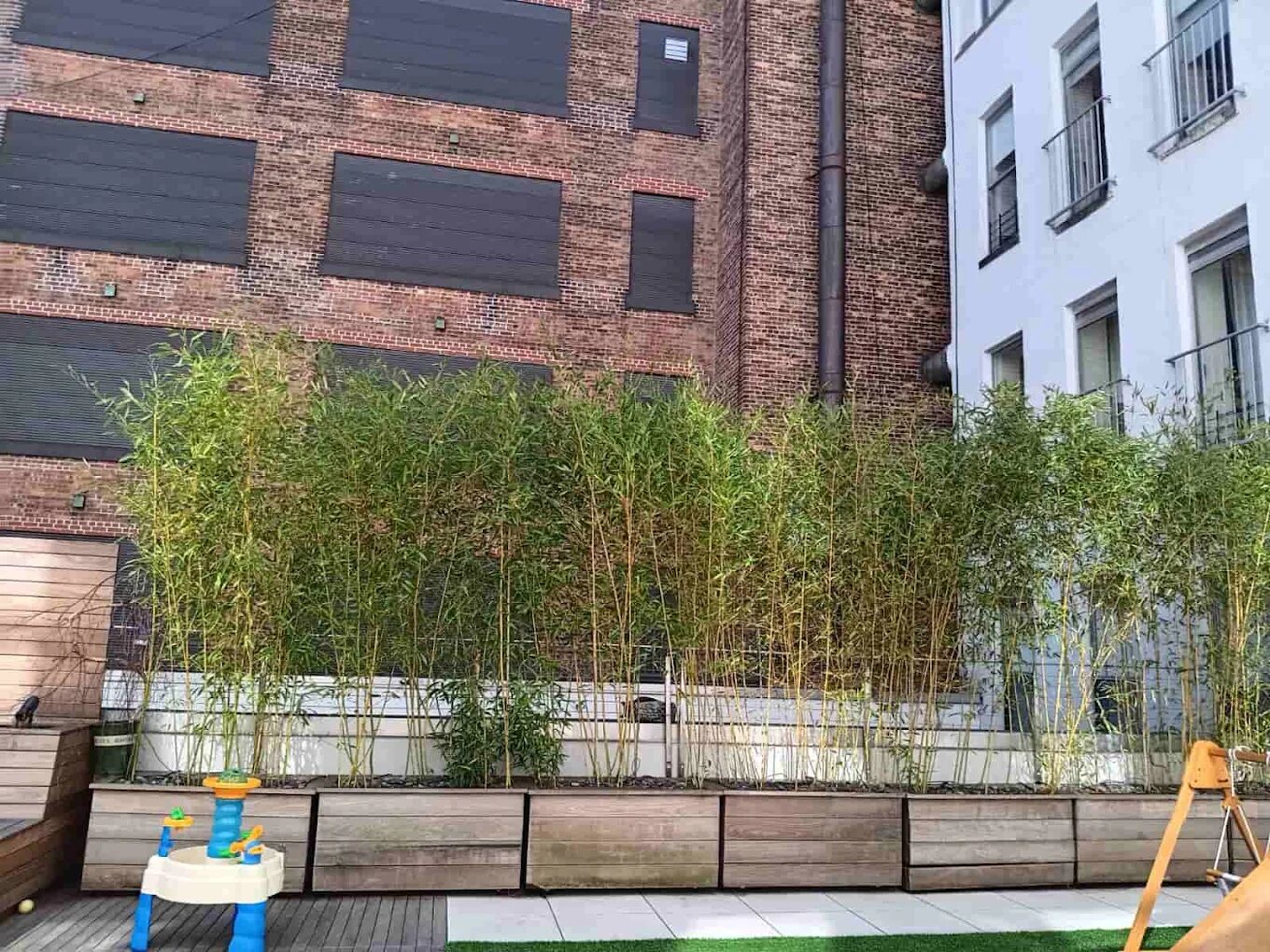 Rooftop terrace with bamboo screening in wooden planters